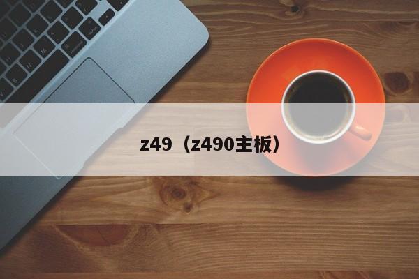 z49（z490主板）