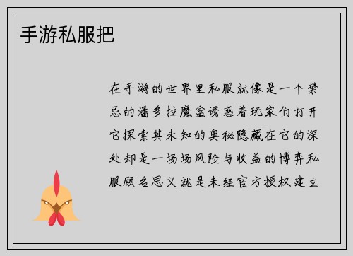 手游私服把
